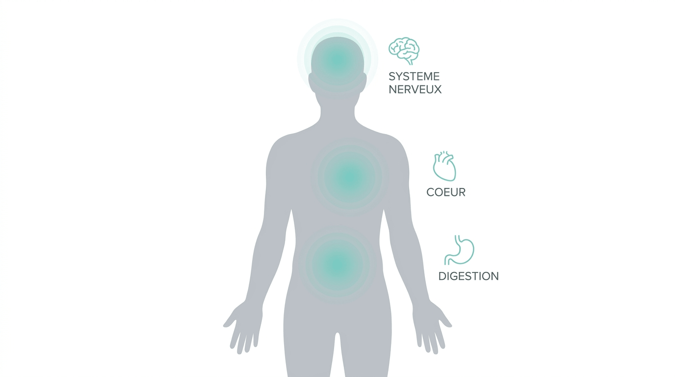 Illustrazione — Quali sono i possibili effetti collaterali di un energy pouch?